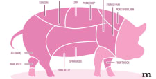 pork cuts 101, a diagram of pork cuts